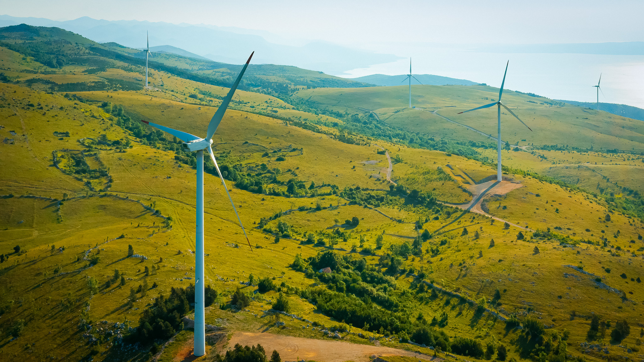 Navigating Green Horizons: Unveiling the Master’s Program In Public Policy in UIII